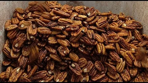 Como fazer o chá da casca de nozes pecan?