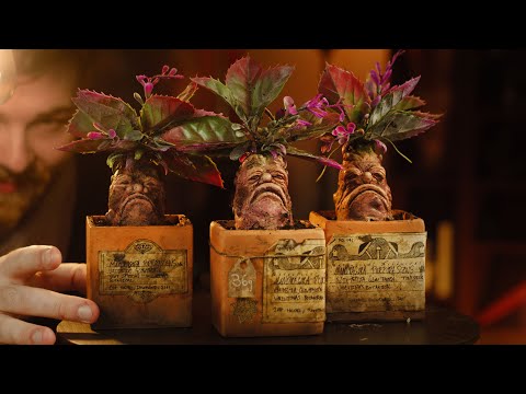 Making Harry Potter inspired Mandrakes | Prop DIY