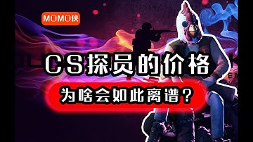 为啥探员的价格 如今这么离谱？