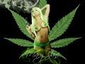 Hyperaptive  mary jane music   weed song   wax remix   rap  hiphop