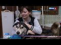 Пензенские волонтеры спасли от гибели 18 животных