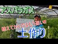 【アスパラガス】定植前、もっとも重要なこと！