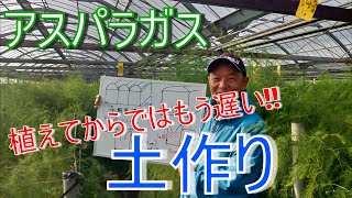 【アスパラガス】定植前、もっとも重要なこと！