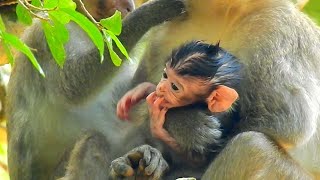 Younggg Mom Nandaa Is Huggg Babby Nathann Too Strong So It Is Not Easy For Newborn Nathan