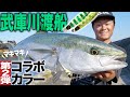 【マキマキ×武庫川渡船】必釣コラボカラー登場！大型青物降臨の武庫川一文字ショアジギング！