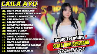 Dangdut Koplo Terbaru 2026 🔥 ,Cinta dari seberang Full Album Viral TikTok !! KOPLOFILIA