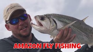 AMAZING AMAZON JUNGLE FLY FISHING !!!