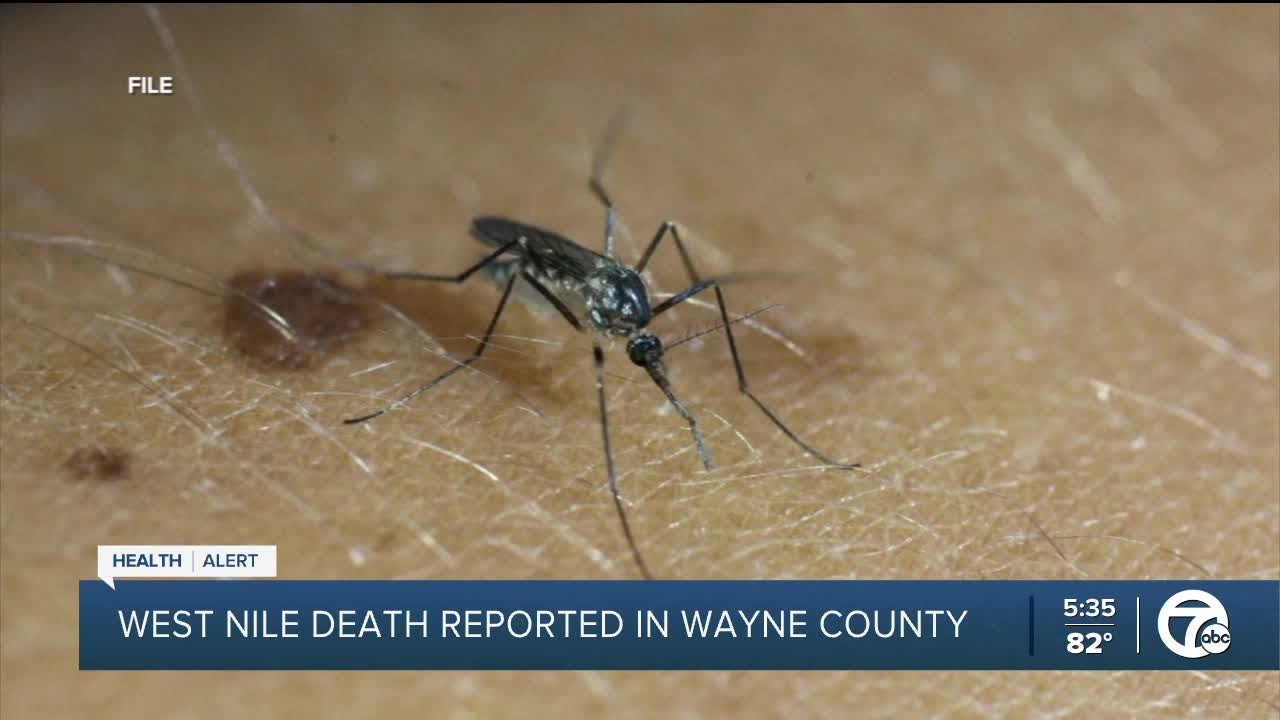Ask Dr. Nandi: What to know about West Nile Virus