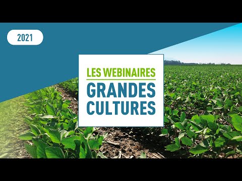 Vidéo: Mesures Efficaces De Contrôle Des Mauvaises Herbes