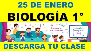 APRENDE EN CASA 1 SECUNDARIA 1ER GRADO BIOLOGIA 25 DE ENERO LUNES DESCARGA TU CLASE