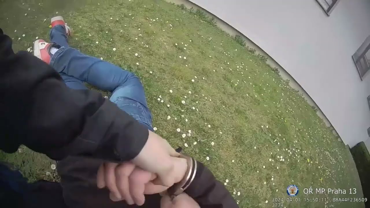 STRÁŽNÍKOVI V PRAZE UTÍKAL MUŽ, KTERÝ MĚL PŘEDTÍM PYTLAČIT U RYBNÍKU