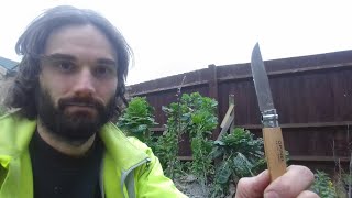 Grafting apple trees Part 1.
