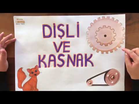 DİŞLİ VE KASNAK