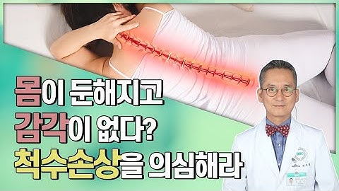 마비를 부르는 질병, 척수손상