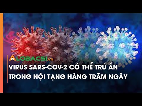 Virus SARS-CoV-2 có thể trú ẩn trong nội tạng hàng trăm ngày