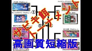 【高画質版】サビキの餌トーナメント【どの餌が好き？】