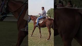 MEMORABLE CLIP AT NOFA RESORT RIYADH SAUDI ARABIA #motivation #entertainment #explore