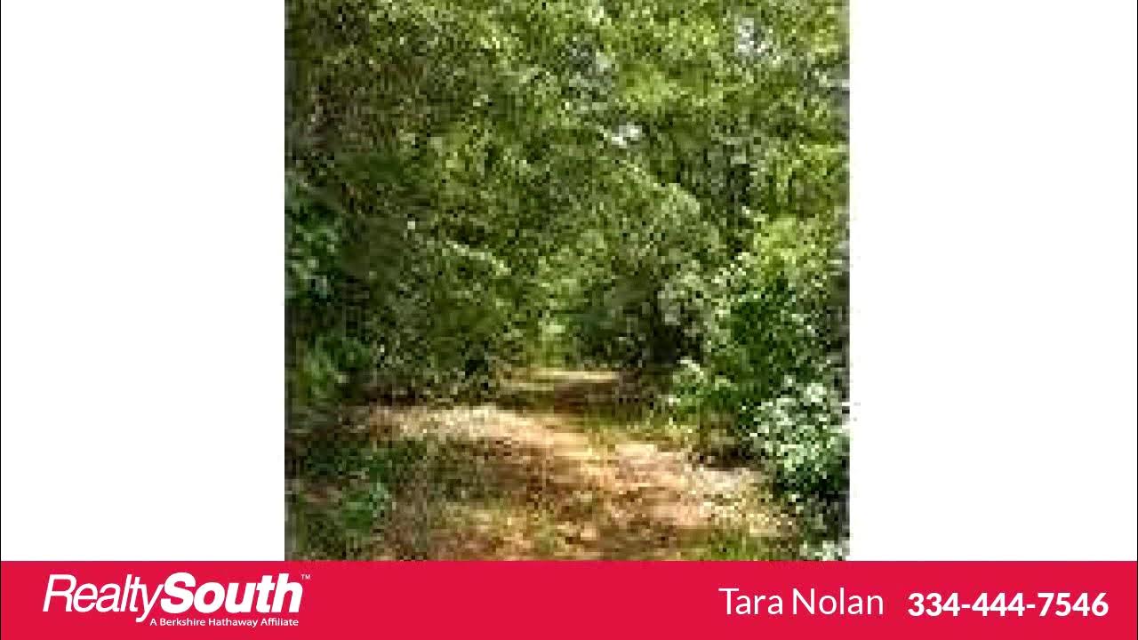 Homes for sale DEER RUN COURT, OPELIKA, AL 36804 YouTube