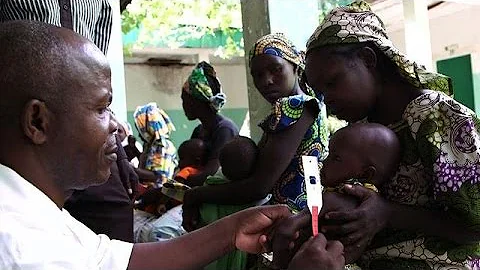 WFP warns of regional crisis from Boko Haram