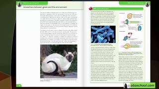 Interactions between genes and the environment part 1 Biology AS
