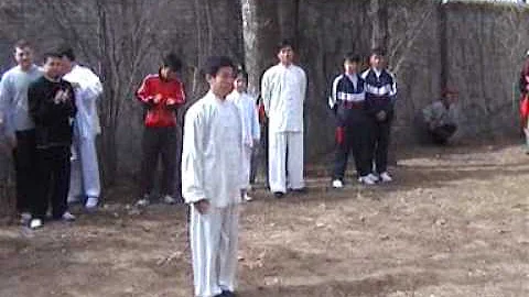 baguazhang Master Li Ziming 2004 commemoration, pa...