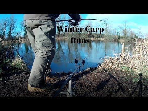 Carp Run Compilation