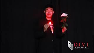 D'Lite and Light Rose