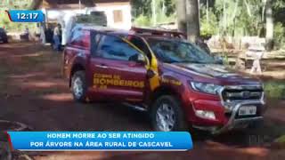 Homem morre ao ser atingido por árvore na área rural de Cascavel