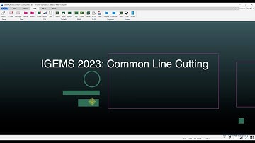 IGEMS Common Line Cutting