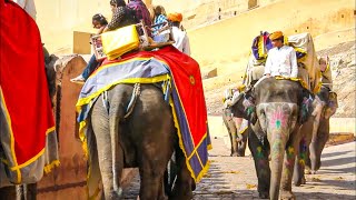 Rajasthan, the Land of the Kings | Full Documentary