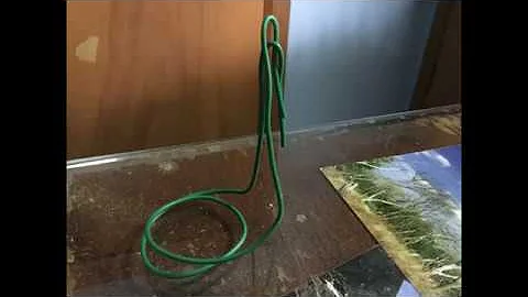 How to stabilize a Phalaenopsis in Full Water Cuture