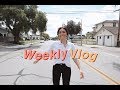 DIE BESTEN DONUTS DER WELT! | Weekly Vlog | madametamtam