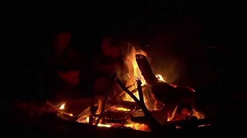 The Dirties - Matt and Owen "Double Talk"