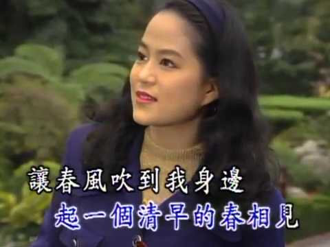 蔡幸娟 - 春風吻上我的臉（優歌KTV）