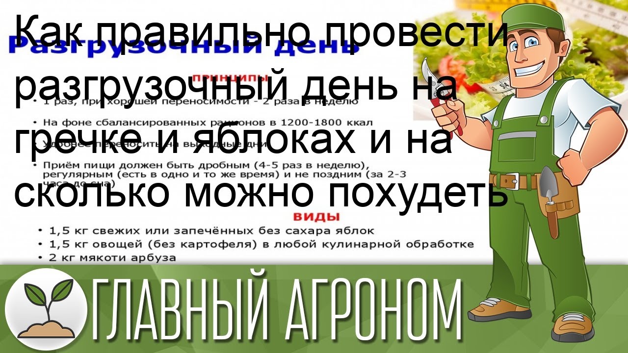 Как правильно провести разгрузочный день на гречке и яблоках и на сколько можно похудеть