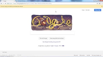 Java Selenium Example 6 - How to maximize window Chrome