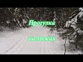 Лесная прогулка на лыжах