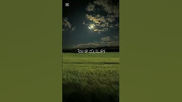 القارئ عبدالرحمن مسعد ❤️♥️❤️♥️((لا تحزن ان الله معنا ))#اكسبلور #قرآن