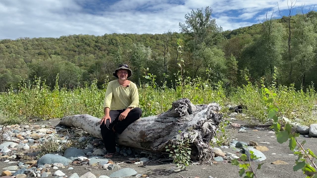 Попугай постоянно несется: причины и что делать? Как остановить хроническую кладку у попугая.