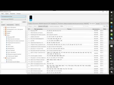 Видеоурок 4. Зеленская