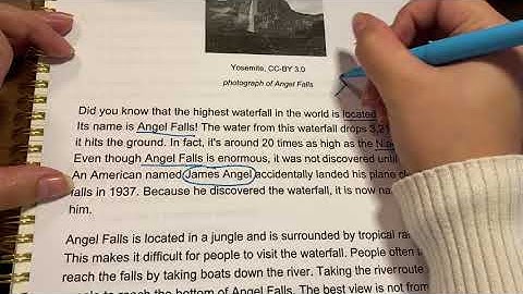 Reading the Gist Review Lesson