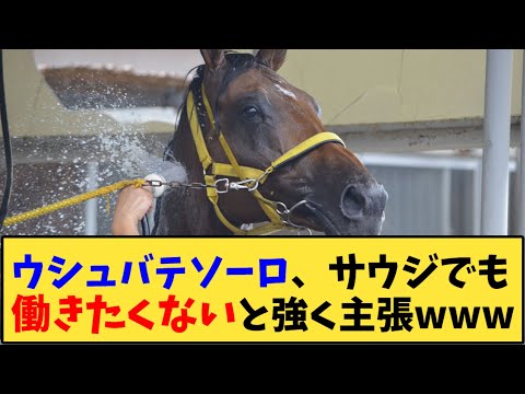 【競馬】「ウシュバテソーロ、サウジでも働きたくないと主張www」に対する反応【反応集】