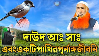 দাউদ আঃ এবং একটি পাখির পূর্নাঙ্গ জীবনি| আবু ওবায়দা চতুর্বেদ|Maulana Abu Obaida Chaturvedi| MuslimTv