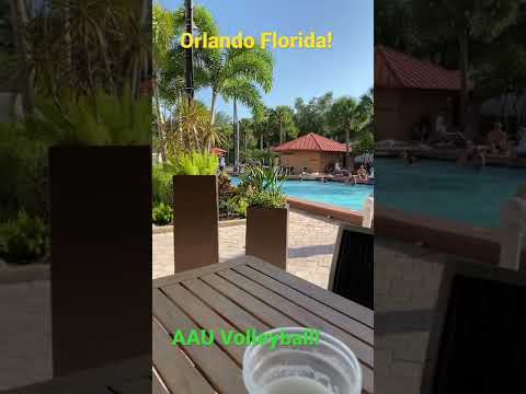 Pool Time Orlando Florida! - YouTube