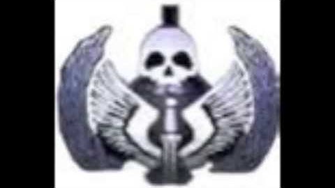 Full MW2 Task Force 141 Spawn Theme