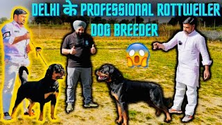 Delhi के Professional Rottweiler Dog Breeder 😱