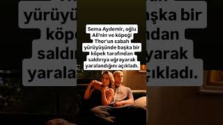 Sema Aydemir, Oğlu Alinin Ve Köpeği Thorun Sabah Yürüyüşünde Başka Bir Köpek Tarafından Saldırı