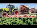 Посев сои в Крыму!!!