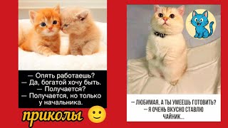 Поставь чайник , ты это вкусно делаешь,приколы и смешные картинки , веселая музыка 😄