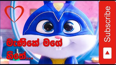 Download Hima Bole Sinhala Song Manike Mage Hithe Full Song Mp3 Free And Mp4
